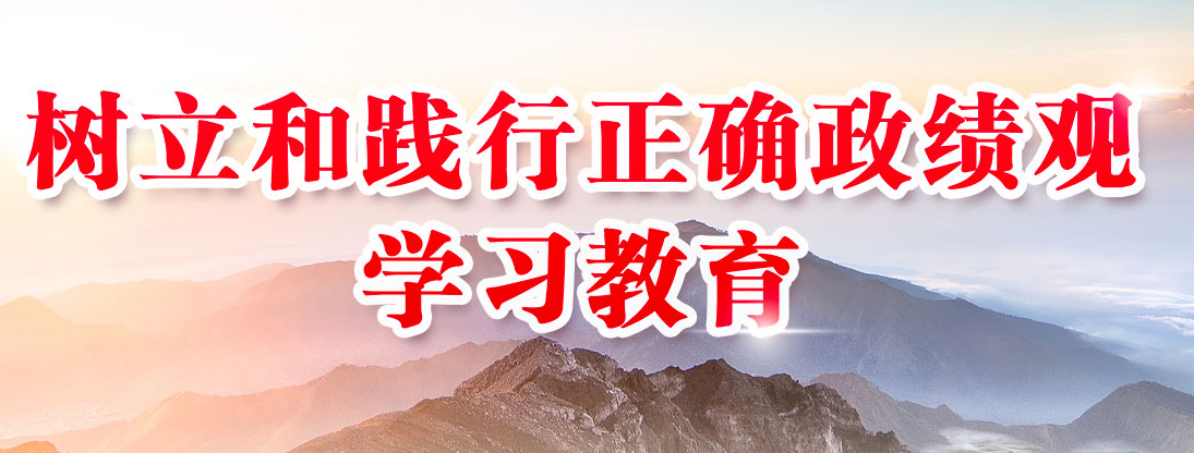 树立和践行正确政绩观学习教育